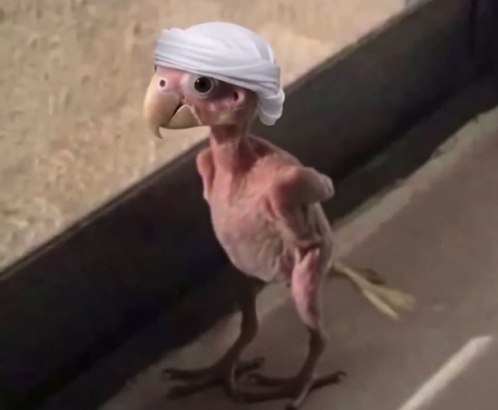 Moody_cy's tweet photo. ههههههههههههههههههههههههههههههههههههههههههههههههههههههههههههههههههههههههههههههههههههههههههههههههههههههههههههههههههههههههههههههههههههههههههههههههههههههههههههههههههههههههههه https://t.co/boYt2ZI7a1