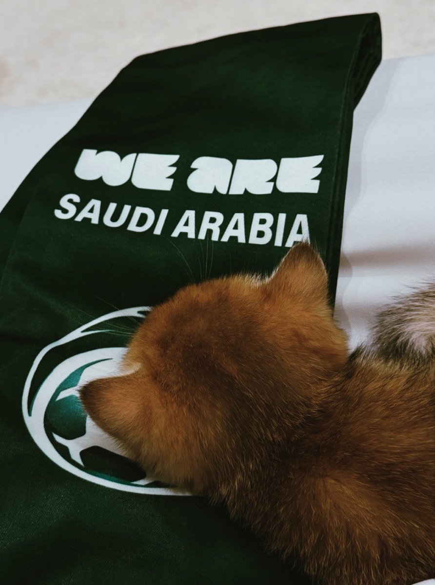 iABSq's tweet photo. مبرووووككك! 💚🇸🇦 https://t.co/PeoE5YXeLz