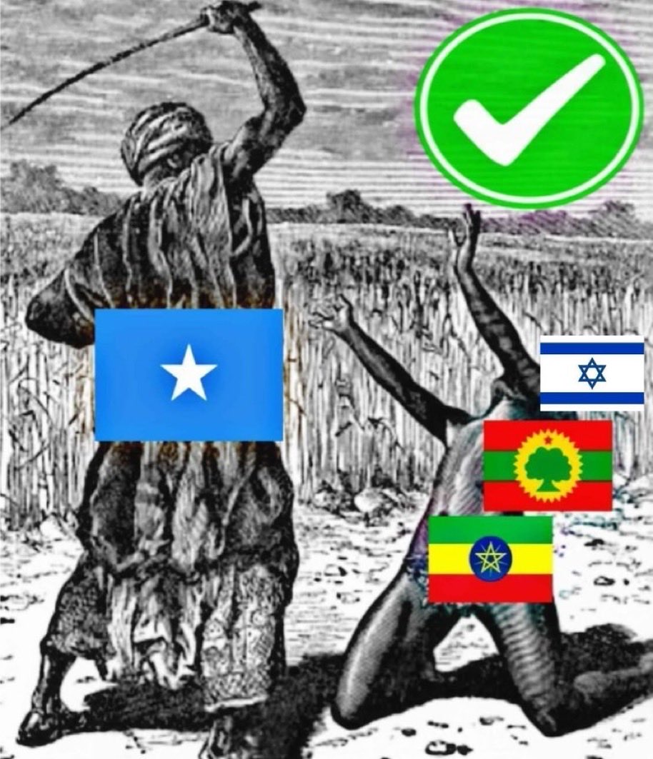 QalasTuke's tweet photo. @HHokariye Gaal Raac Yahuud if Isxaar💩🇮🇱landers know how fight how come ur terrorist militia’s were defeated by Qalas🐎teenagers with no training nor weapons they 💀☠️ &amp; disarmed ur terrorist militias took the weapons international community has given to Isxaar💩🇮🇱land &amp; we took slaves! https://t.co/5rtYzNf0Jo