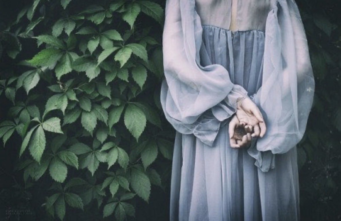 Peine01's tweet photo. "Die Leute wollen die Wahrheit nicht hören, weil sie nicht wollen, dass ihre Illusionen zerstört werden." 

Gute Nacht mit Friedrich Nietzsche https://t.co/NwSTmWuGm1