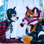 Photo by Ryker (@LittleRyRy1)