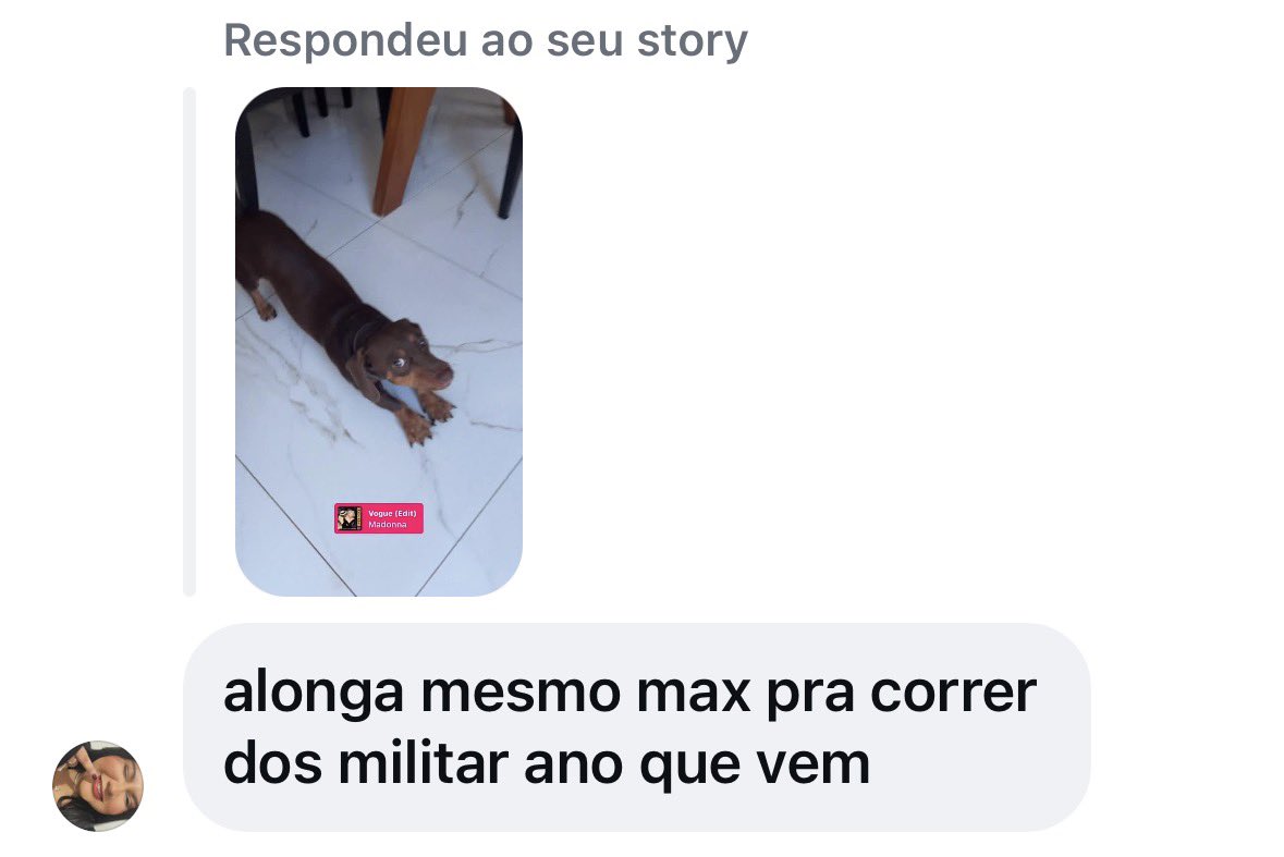 SCWRSESEE's tweet photo. postei meu cachorro alongando e a resposta #pqp kkkkkkkkkkkkkkk https://t.co/yYWPzXygn8