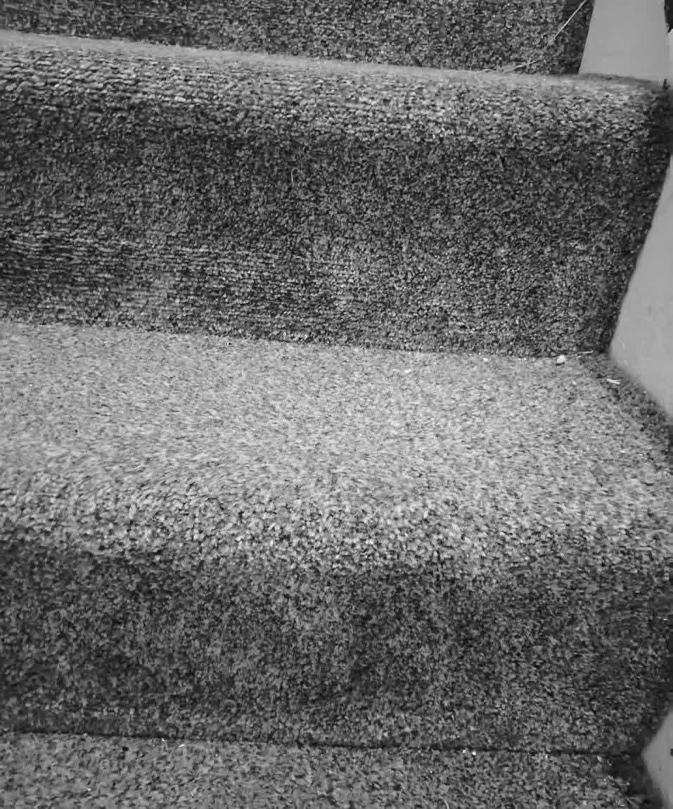 RGSPARKLESOL's tweet photo. Breathe fresh life back into your carpets! 🧼✨
From high-traffic hallways to stubborn stains, RG Sparkle Property Maintenance delivers deep carpet extractions that look, feel, and smell brand new.  
📞 Call +44 7351 212 395 to book your carpet refresh
 #RGSparkle #CarpetCleaning https://t.co/9PNxRDkyQ1