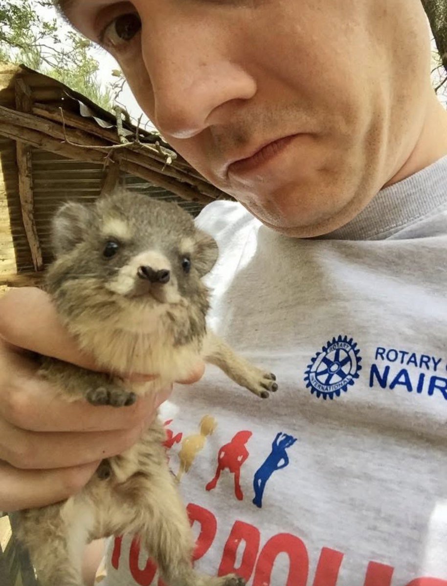 binxroth's tweet photo. this baby hyrax from facebook oh my god https://t.co/6ZWwQDPWfr