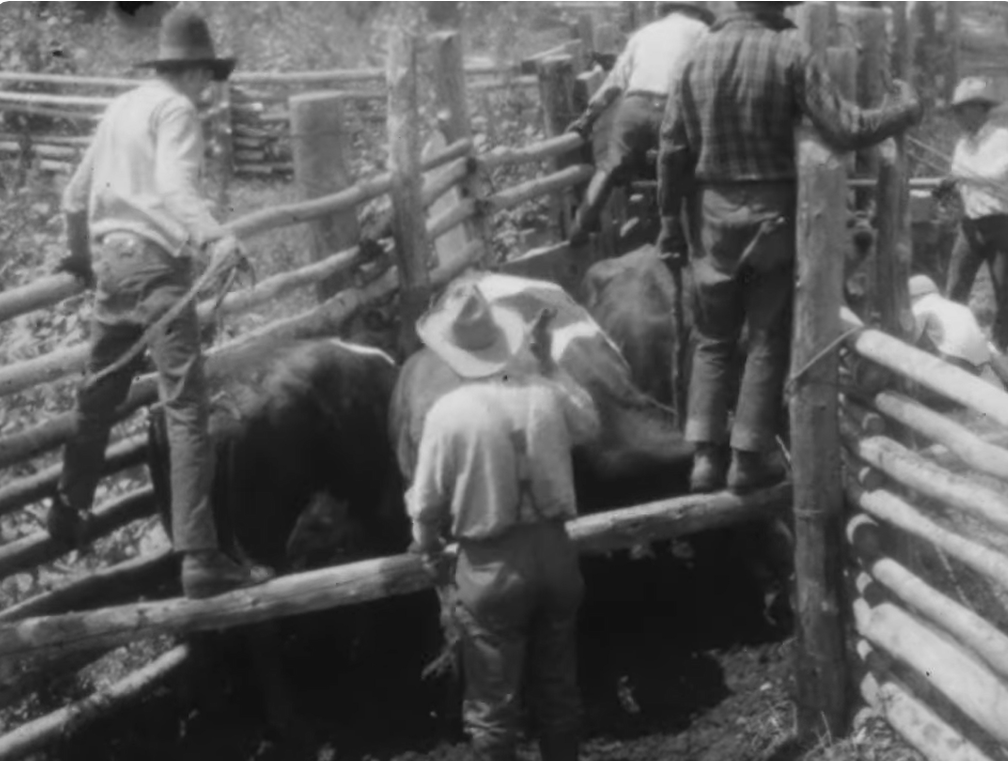 elisabethgfoley's tweet photo. The Montana Historical society has a playlist on YouTube featuring almost an hour of home movie footage taken on and around a Montana ranch *in the 1920s.* Absolutely amazing. https://t.co/C8kq9Xp9Mj #westernwednesday #americanwest #montana https://t.co/CZgWylr76c