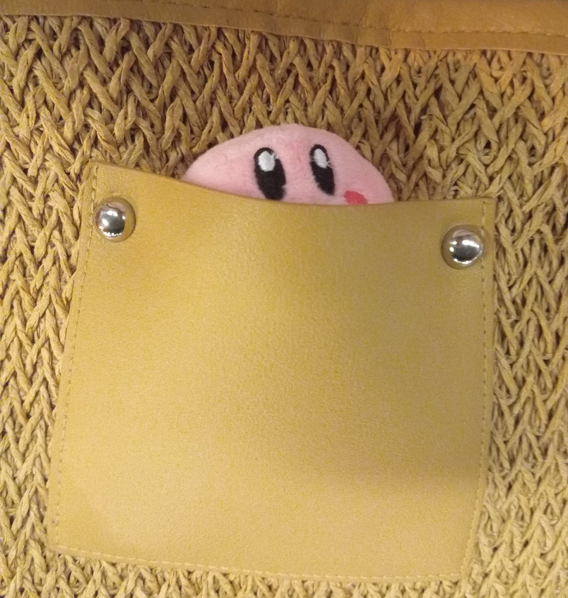 ShippyO's tweet photo. GUYS LOOK AT HIM 🥹🥺🥹🥺🥹🥺🥹😭😭🥺🥺🥺😭😭🥹 EJHHGGGQ MY BABYYYYY,MY LITTLE POCKET SIZED KIRBY...... 🥺🥺🥺🥺💖💖💖💖 https://t.co/dR1jl48fmj