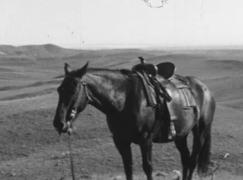 elisabethgfoley's tweet photo. The Montana Historical society has a playlist on YouTube featuring almost an hour of home movie footage taken on and around a Montana ranch *in the 1920s.* Absolutely amazing. https://t.co/C8kq9Xp9Mj #westernwednesday #americanwest #montana https://t.co/CZgWylr76c