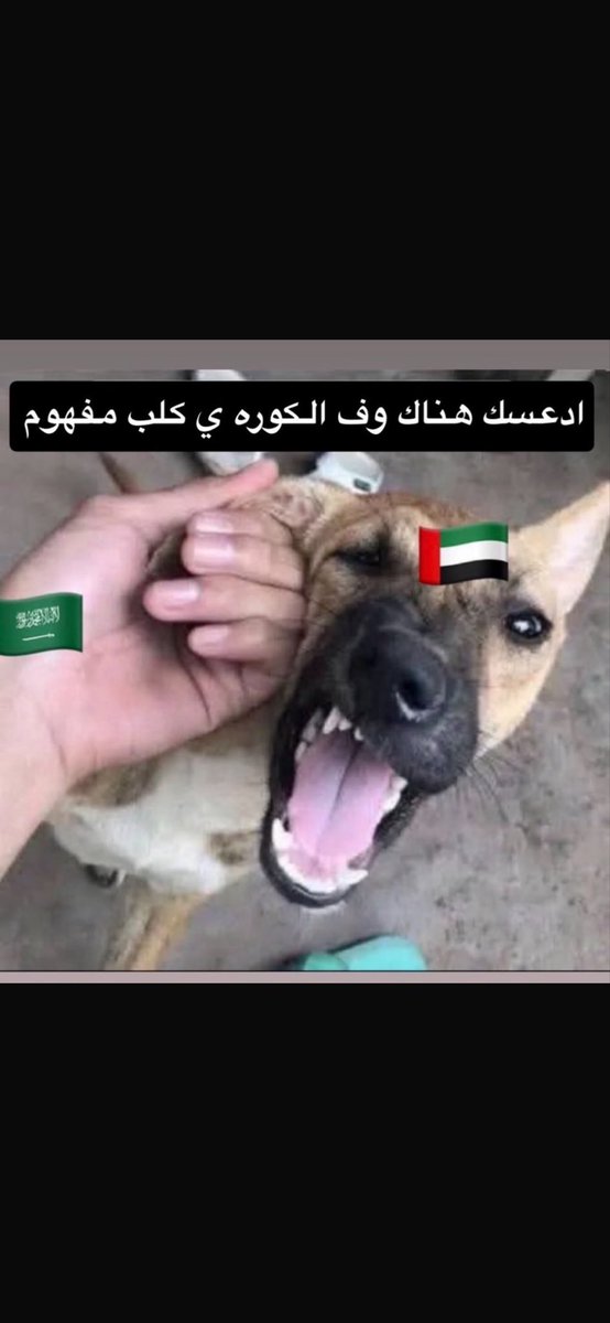 ry_4j's tweet photo. 📢🐕 https://t.co/sBCrYiWuGo