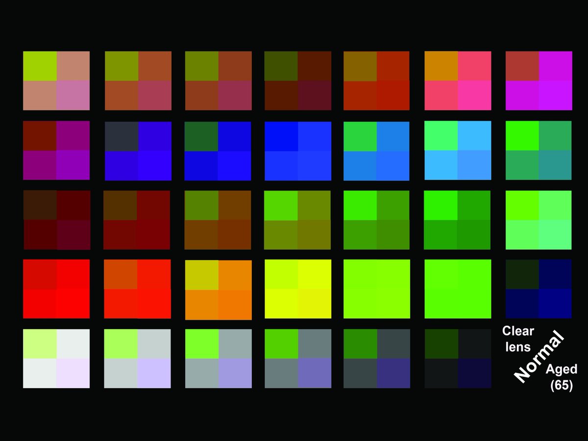 OpticaWorldwide's tweet photo. A new computational model from @UCL that accounts for individual differences in human color vision is helping reveal why the colors of today’s displays sometimes appear different to different people: https://t.co/XtUy5QG7lK

#OPG_OpEx #Vision #Science https://t.co/pabo7NOd5O