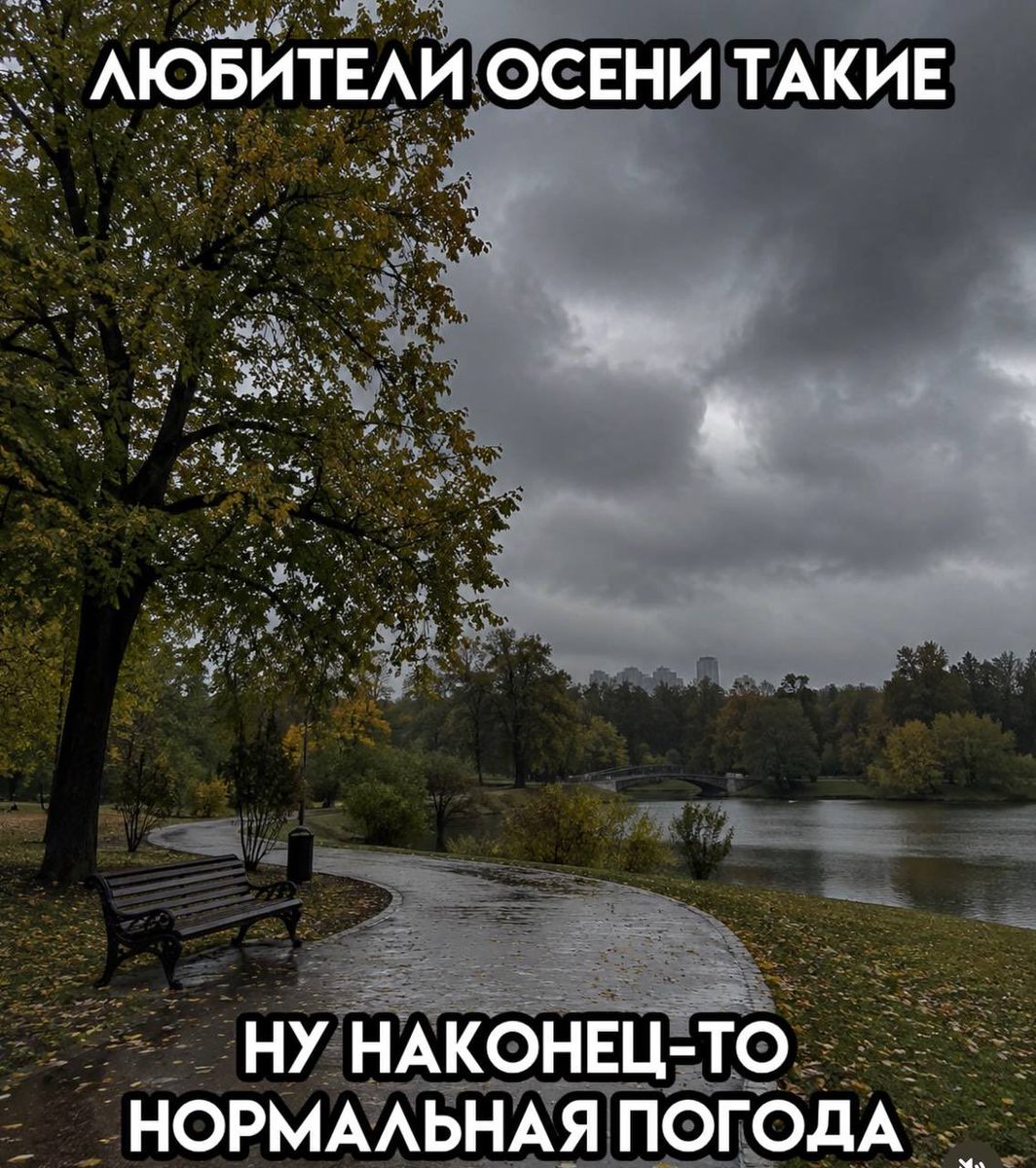 thkh_7's tweet photo. о дааа https://t.co/cVayZXi0YF