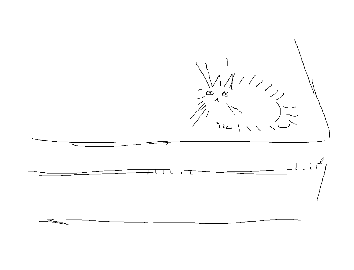 wr42206's tweet photo. drew my cat on the bed https://t.co/EZf8ypA3vn