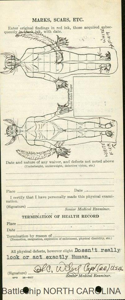 TransRightsMFer's tweet photo. @MagicalGirlFia Big fan of George, the cat who lived in the lighting shop on USS North Carolina for about a year during WWII. Gave him full medical records and everything. https://t.co/d3EIYpgjZn
