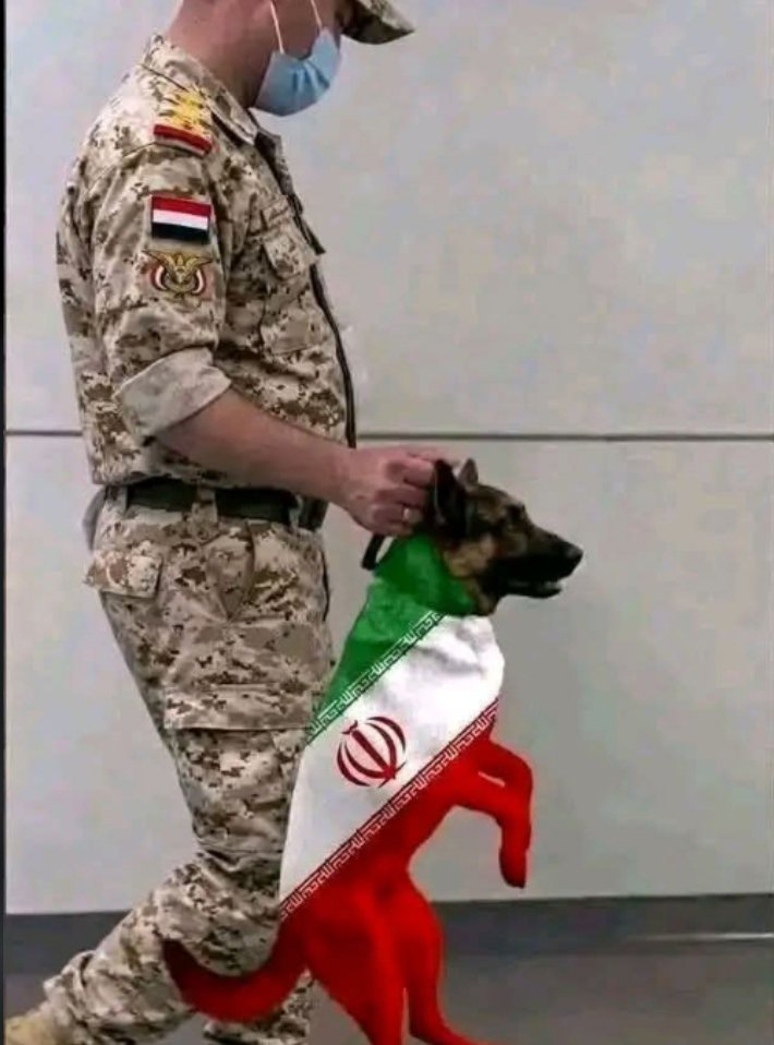 mustkel's tweet photo. @Yemen_Global https://t.co/24H6IMkAtr