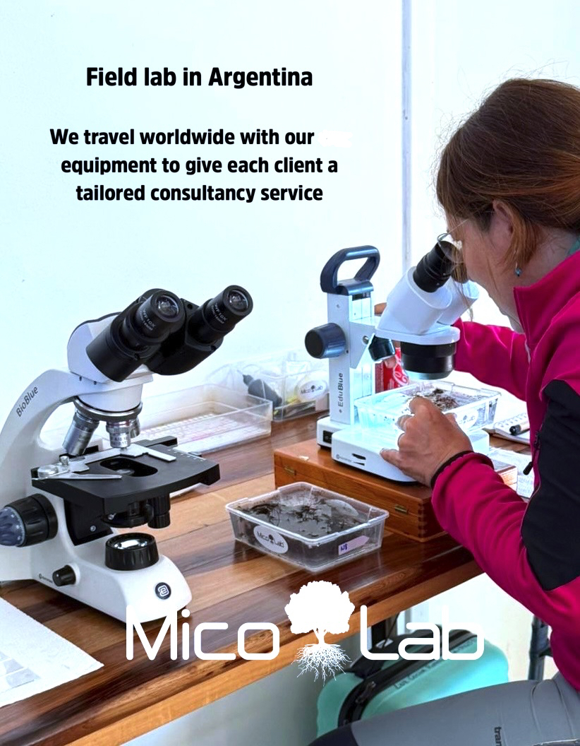 Mico_Lab's tweet photo. Successful truffle plantations start with healthy, well-mycorrhized plants. We analyze plants before planting and monitor mycorrhizae development over time. Every year, we bring our lab equipment to international clients. 

📍 Argentina, August 2026 https://t.co/DLTSttUbCR