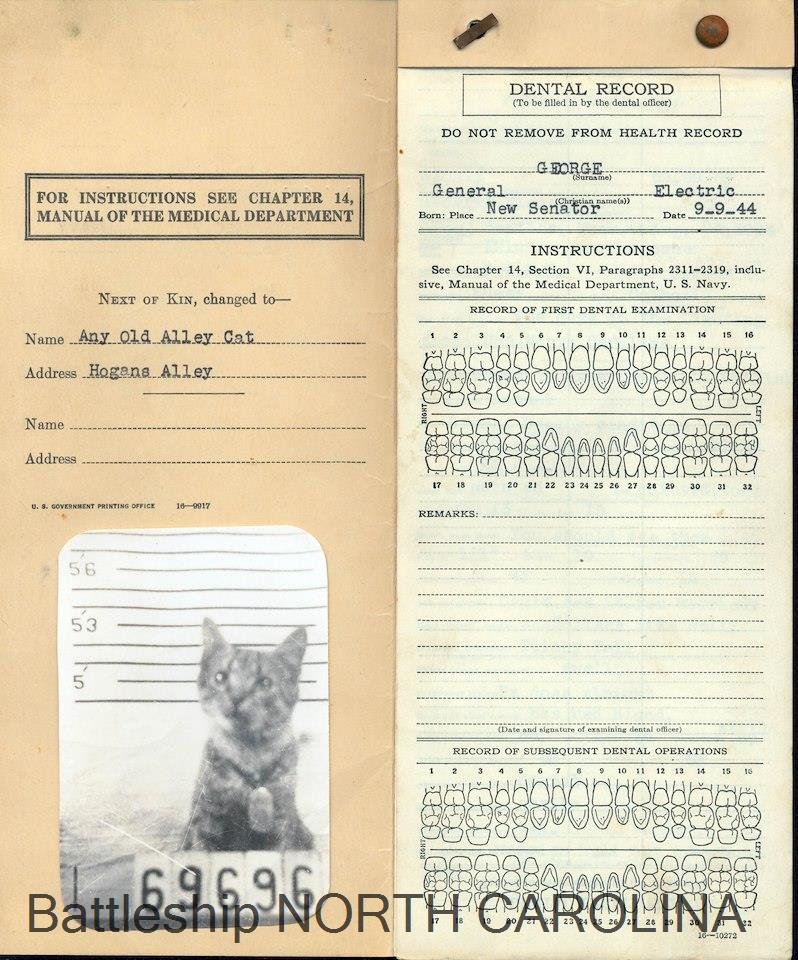 TransRightsMFer's tweet photo. @MagicalGirlFia Big fan of George, the cat who lived in the lighting shop on USS North Carolina for about a year during WWII. Gave him full medical records and everything. https://t.co/d3EIYpgjZn
