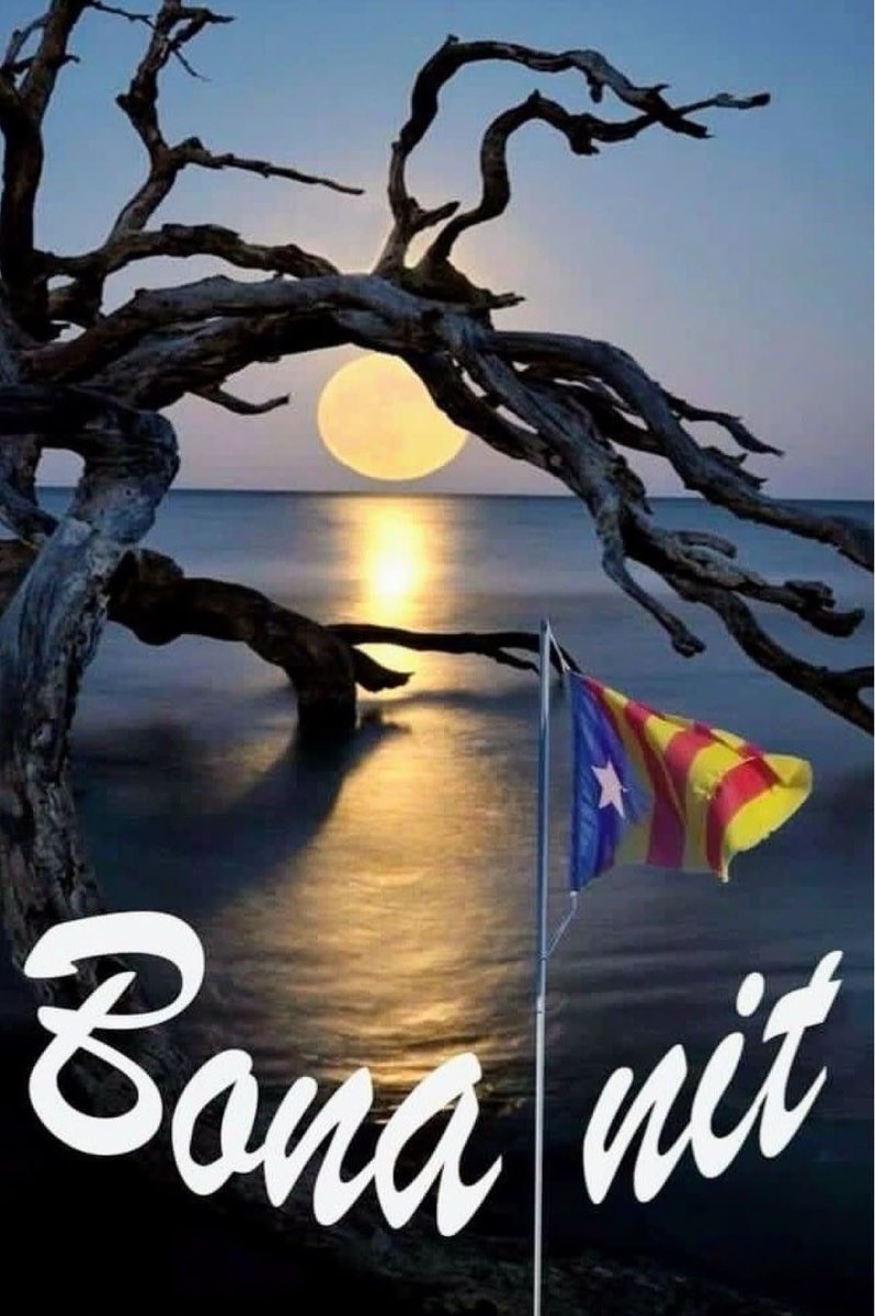 MONTSEC1's tweet photo. @CostaHuix @QuixotCatala @KRLS @Pilar70116971 @RepublicaSempre @Robustiana2023 @Neusnans @reusenca1973 @_Rosamary_ @RbRoser @PauDaferga62 @travieso50 @Nriol33 @Esteltena @MMarLliure @en_font Bona nit estimada colla https://t.co/4WKxJ95f5m