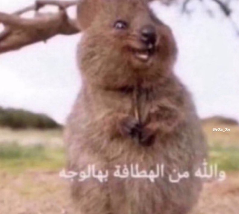 abu3nnaz's tweet photo. اللي يحسب وكالة تعليق الدراسه هي المسؤولة عن التعليق https://t.co/OyM5kAhOn3