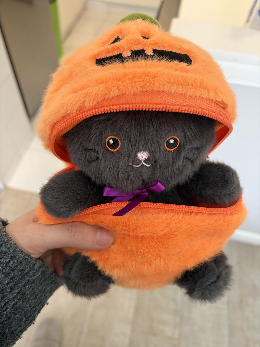 nazarenads's tweet photo. Quién quiere derechos laborales cuando podés tener este brujigatito con disfraz de calabaza? Lo amo demasiado https://t.co/7xTm6A2sCv