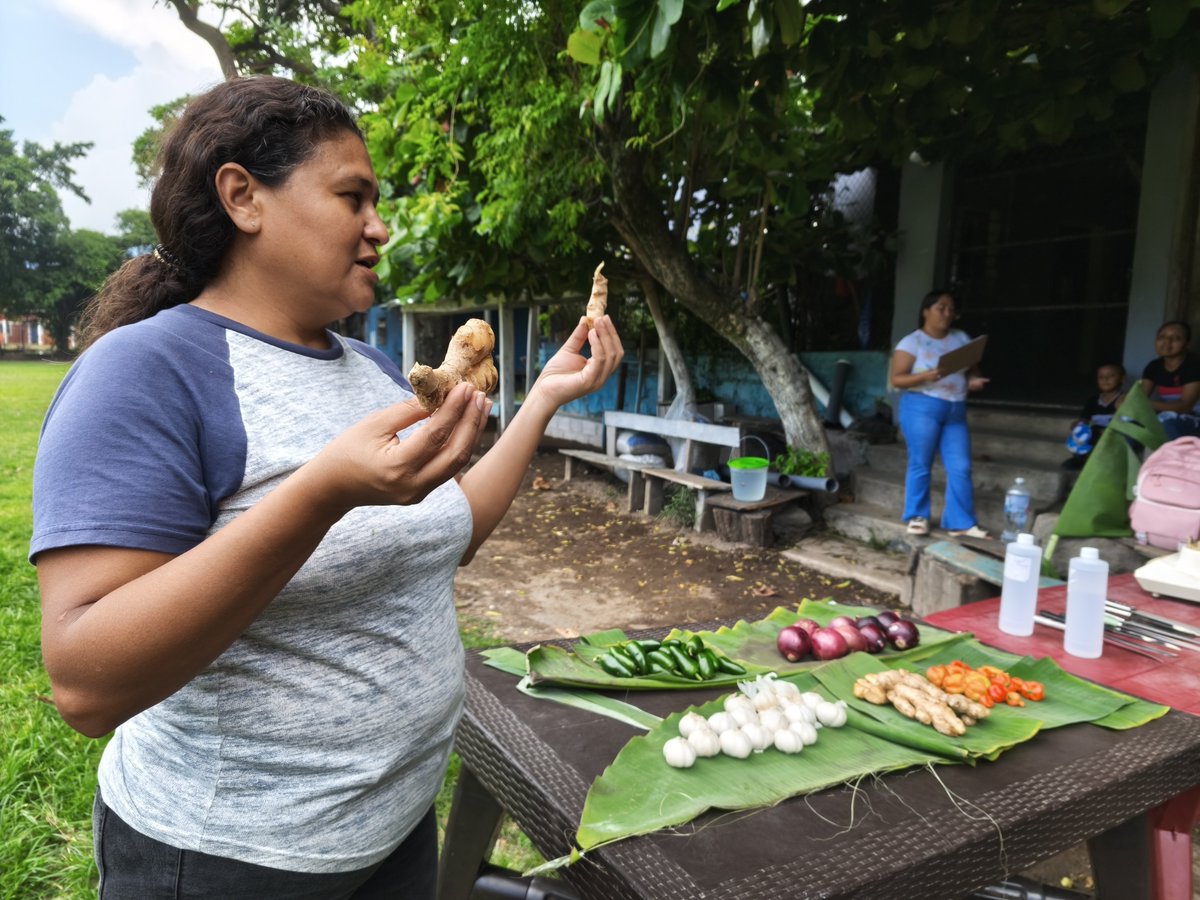 AMAESsv's tweet photo. #SaberesAncestrales
Desarrollamos una jornada formativa en agroecología con mujeres de Coatepeque, Santa Ana. https://t.co/1zQWZaiZyG