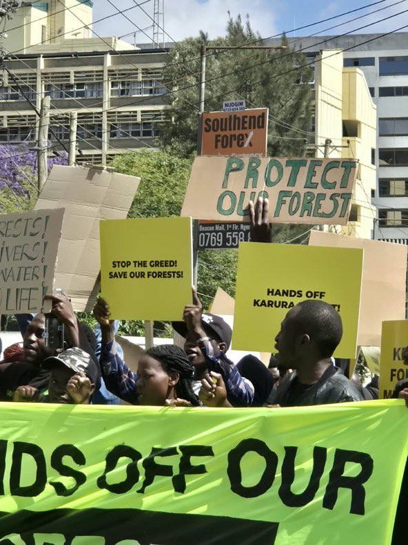 Chepchumba_C_'s tweet photo. Today i joined @gp_kenyagroup to march on behalf of our forest and submitted a petition to the office of the CS to stop deforestation and protect our Kenyan forests #HandsOffOurForest https://t.co/YINbBj0mYj