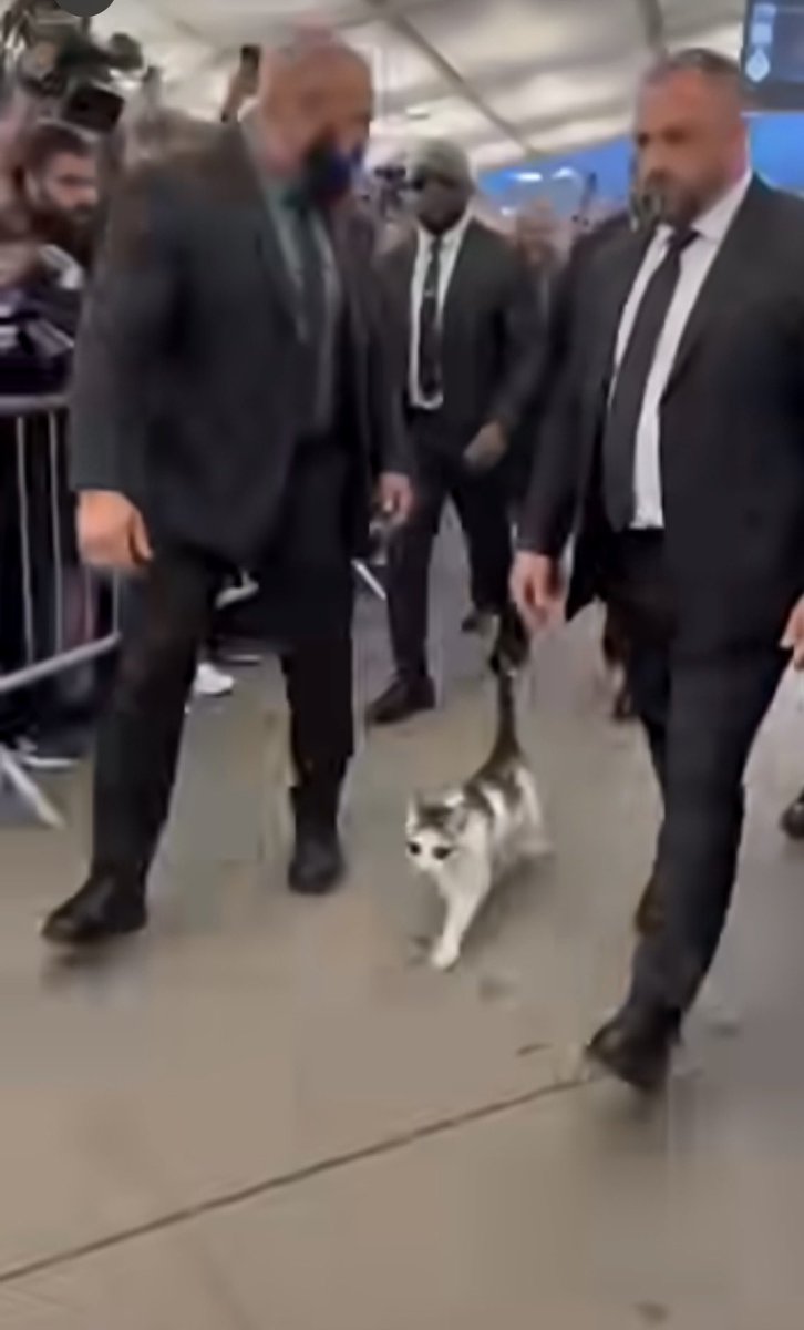 abatiJohnson3's tweet photo. “When you become famous, you need to have a bodyguard.”
Cat now have bodyguards 😀 https://t.co/QdLYD9aAFV