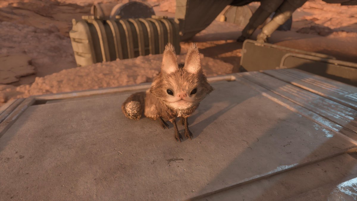 organacore's tweet photo. the loth cat 😭🥹 https://t.co/tjKzvtJIZu