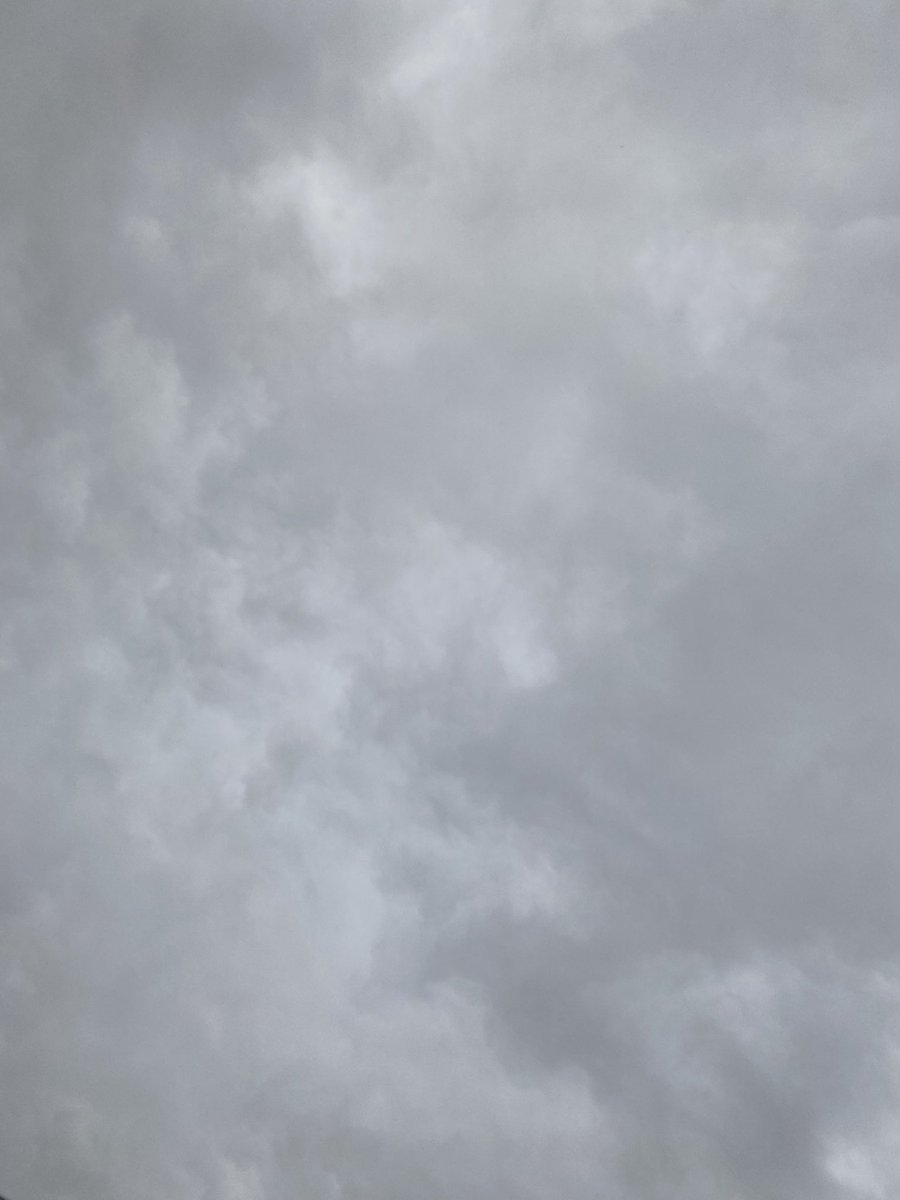 marumarurunning's tweet photo. 140日目🌧

楽ジョグ🏃

しっかりシ���ワーラン
昨日シューズ干したばかりなのに笑

今日も楽しく頑張るぞー!

 #ランニング記録  #朝ラン  #健康資産 https://t.co/QYv8HALTUa