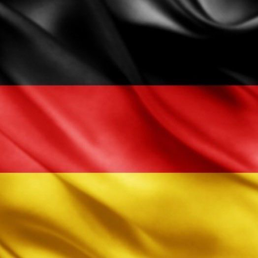 RincnCuriosoo's tweet photo. Alemania ha prohibido cortar las orejas y la cola de los perros únicamente por razones estéticas, y solo se podrá hacer cuando existe una necesidad médica. 🇩🇪🐶 https://t.co/bvOvksW2Ka