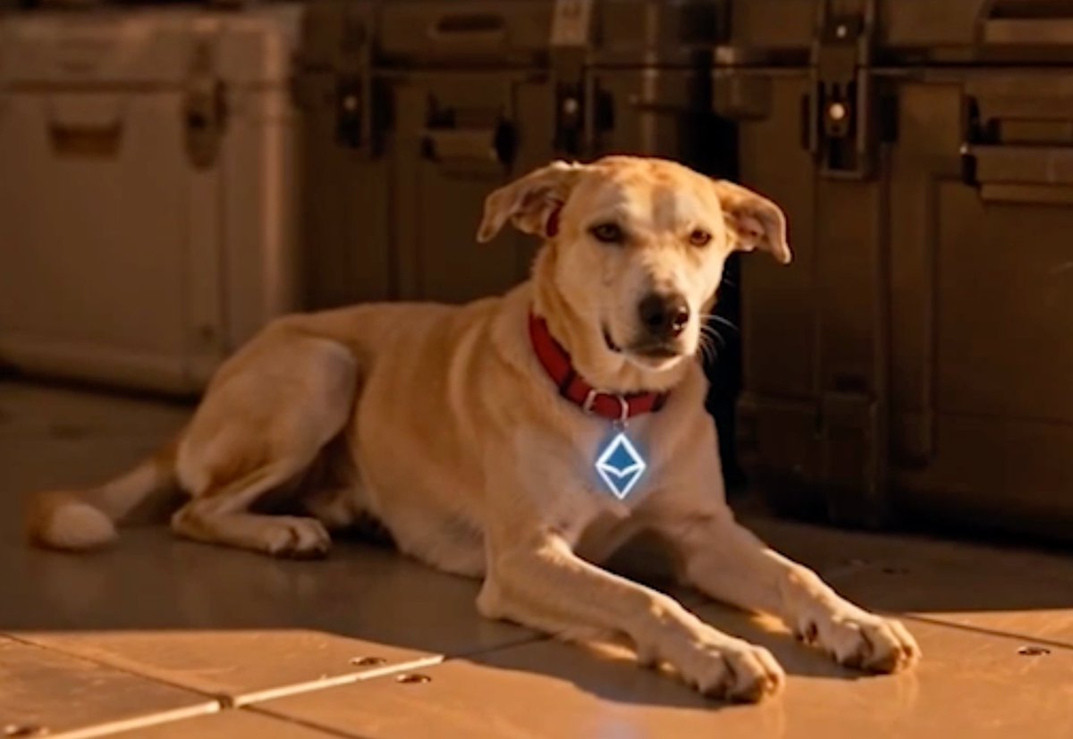 Weithedog's tweet photo. Wei after sending everyone their $ETH and finally getting some rest.

gn bros. https://t.co/foFpqoCS0B
