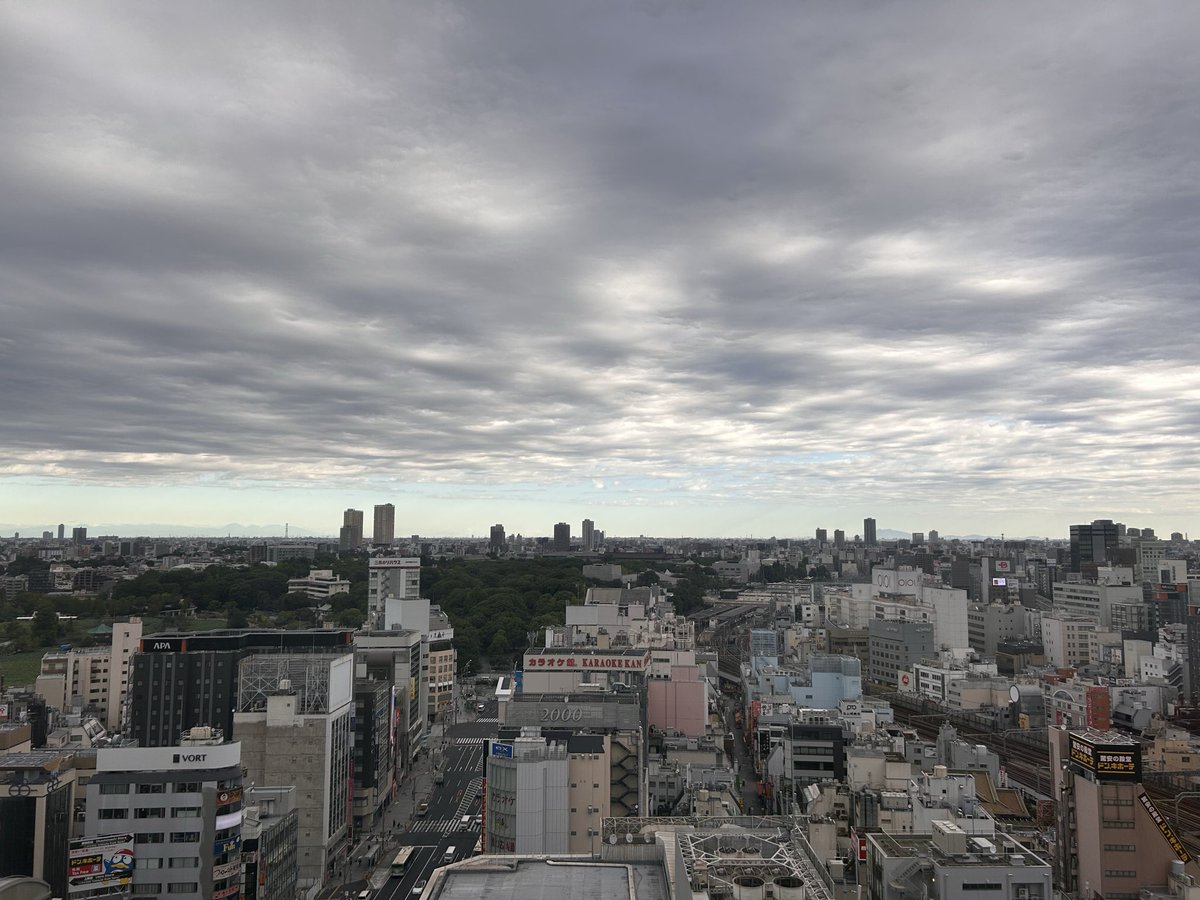 popal_inc's tweet photo. ＼おはようございます🐶／
今朝の #台東区 は⛅️
「2026年も残り85日だよ！」って聞きました。85日ってのが多いんだか少ないんだか、ピンと来ませんが…🤔

週のまんなか水曜日、今日も一日元気に過ごしましょう😊
#企業公式が毎朝地元の天気を言い合う
#企業公式相互フォロー https://t.co/0AKffY9bcD