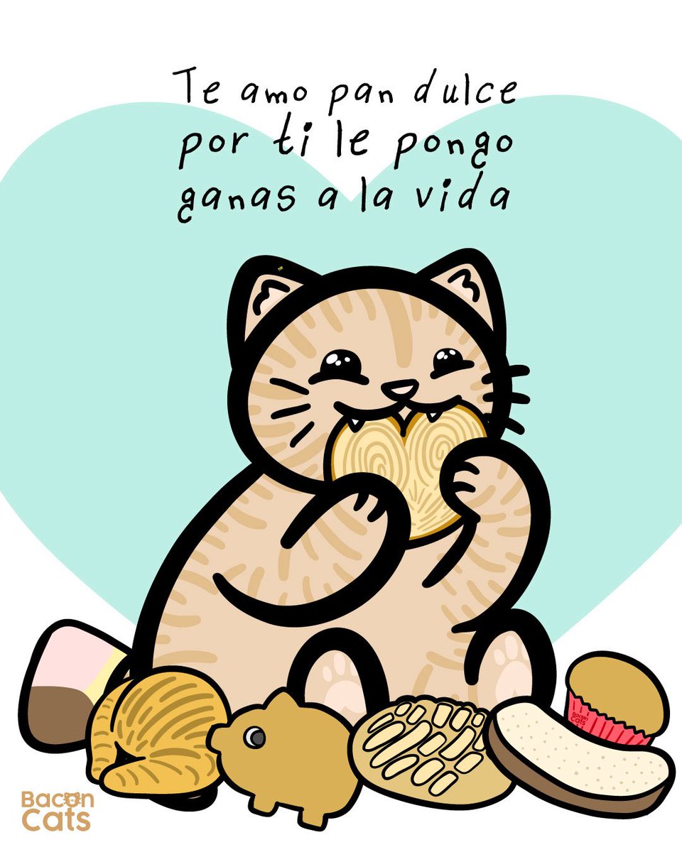 Baconcatsmx's tweet photo. La vida se hizo para comer pan ❤️🍞 https://t.co/sGePj2pttK