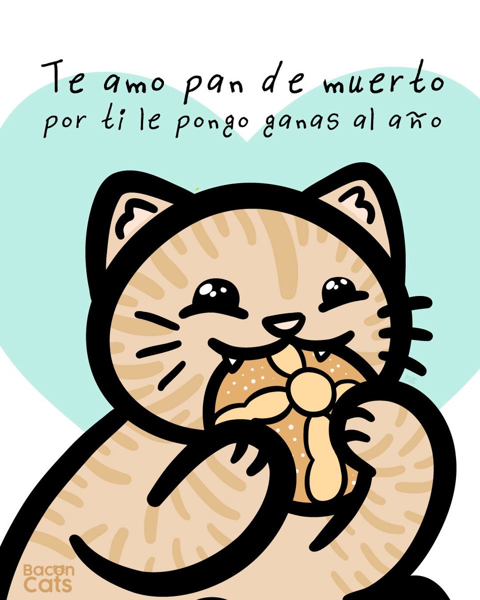 Baconcatsmx's tweet photo. La vida se hizo para comer pan ❤️🍞 https://t.co/sGePj2pttK