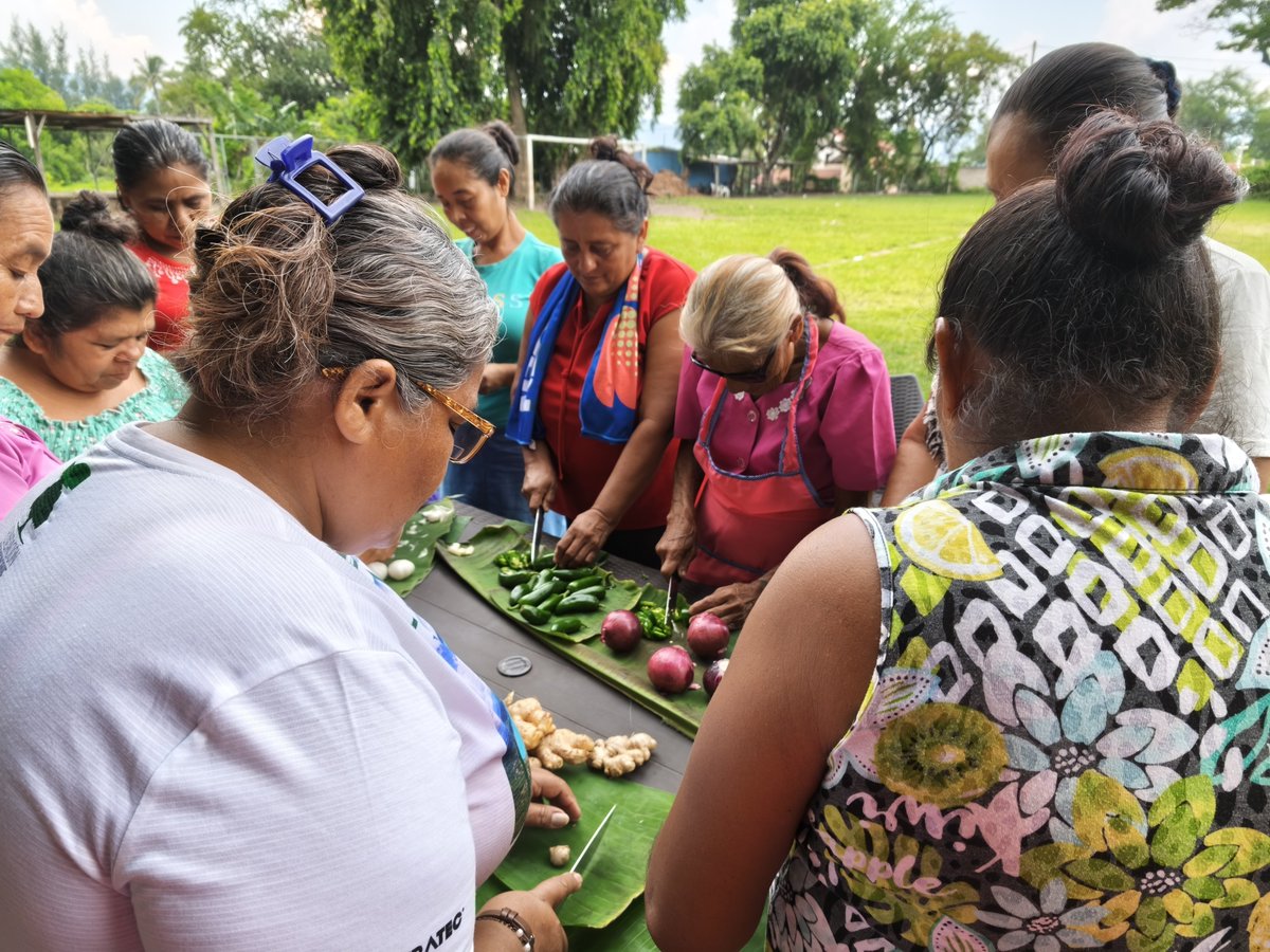 AMAESsv's tweet photo. @HBSsansalvador @Misereor @INKOTA @CooperacionESP @UEenElSalvador @Oxfam_CA @GAGGA_Alliance @ProtectionInt De forma práctica y en conjunto elaboramos repelente natural, el cual será de utilidad para que las participantes lo apliquen en las plantas de su hogar y para quienes poseen huertos caseros. https://t.co/durkuoz1mr