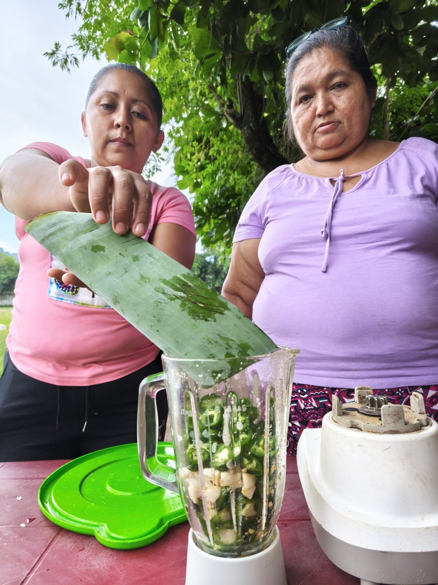 AMAESsv's tweet photo. @HBSsansalvador @Misereor @INKOTA @CooperacionESP @UEenElSalvador @Oxfam_CA @GAGGA_Alliance @ProtectionInt De forma práctica y en conjunto elaboramos repelente natural, el cual será de utilidad para que las participantes lo apliquen en las plantas de su hogar y para quienes poseen huertos caseros. https://t.co/durkuoz1mr