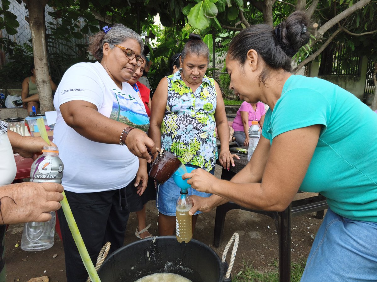 AMAESsv's tweet photo. @HBSsansalvador @Misereor @INKOTA @CooperacionESP @UEenElSalvador @Oxfam_CA @GAGGA_Alliance @ProtectionInt De forma práctica y en conjunto elaboramos repelente natural, el cual será de utilidad para que las participantes lo apliquen en las plantas de su hogar y para quienes poseen huertos caseros. https://t.co/durkuoz1mr