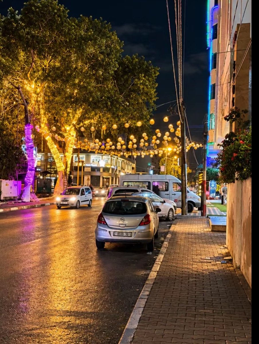 MuhammadSmiry's tweet photo. Gaza before… https://t.co/8pOrZdw5Nu