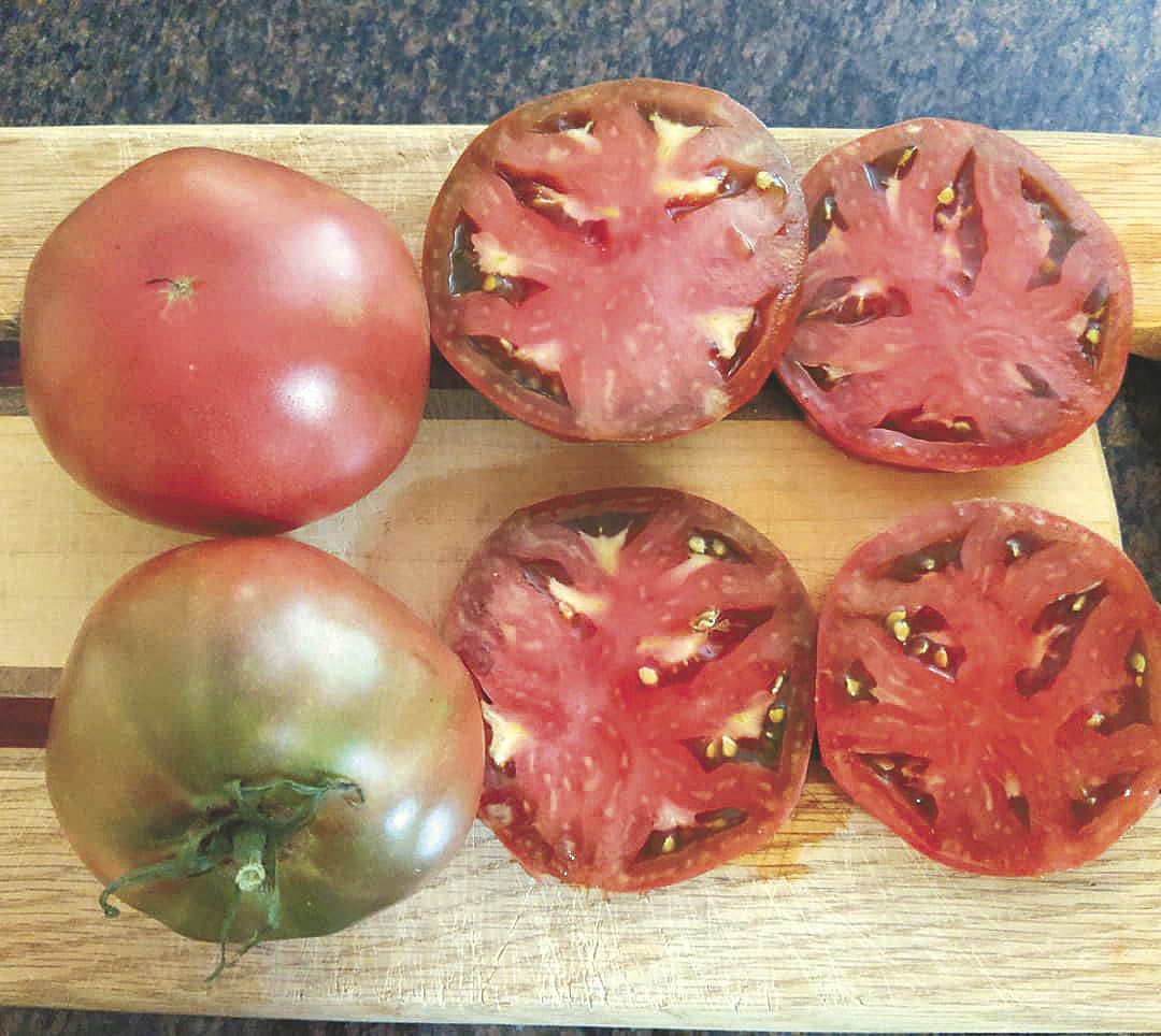 FarmShow's tweet photo. Craig LeHoullier doesn’t just like tomatoes. He lives tomatoes. He has more than 5,000 varieties and more come in all the time. Many of them are heirloom tomatoes that people have saved for years and then decided to send to The Tomato Man, as he’s known. https://t.co/10H9TYZa2Y https://t.co/LFoqpWfXDr