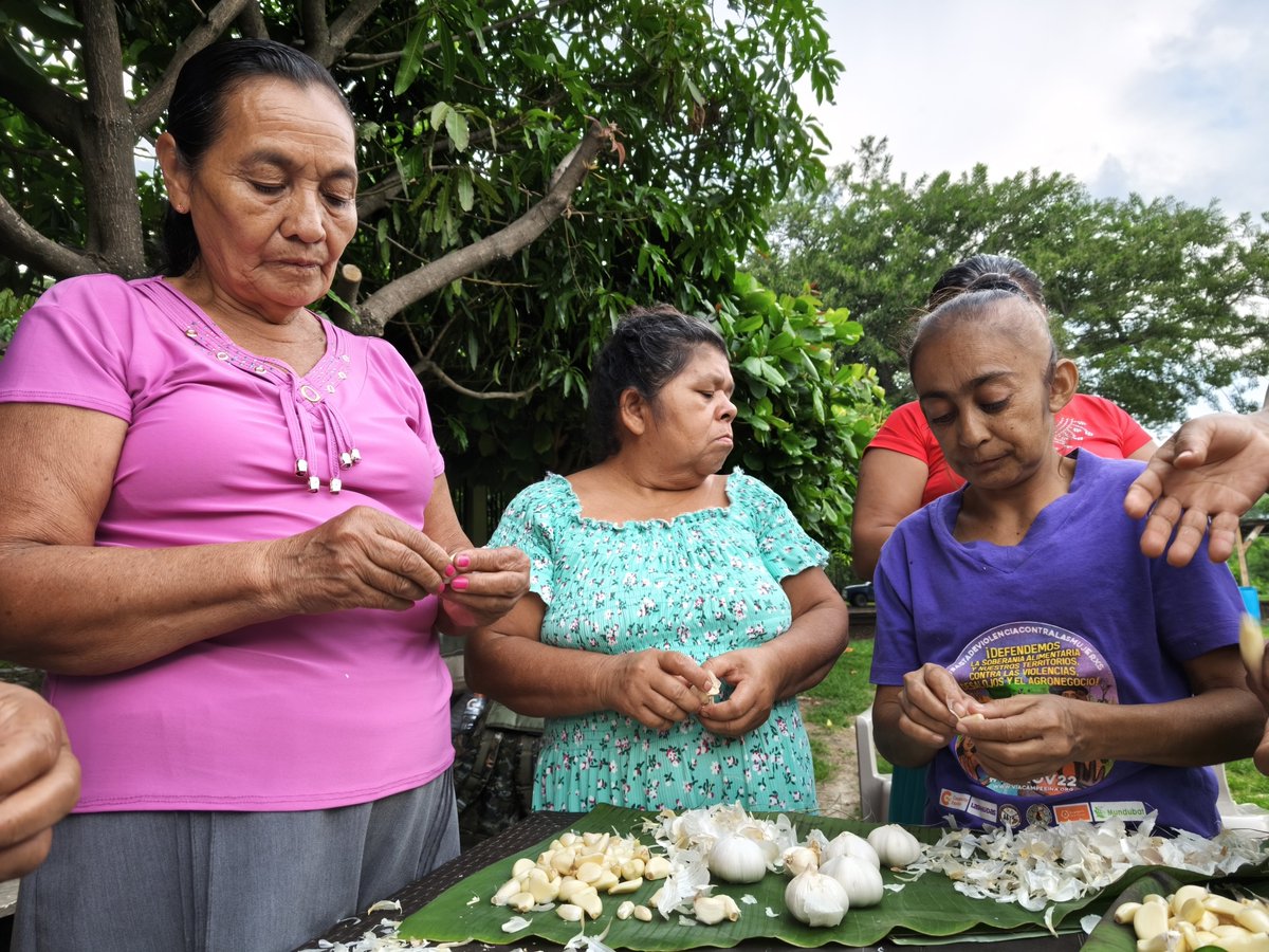 AMAESsv's tweet photo. @HBSsansalvador @Misereor @INKOTA @CooperacionESP @UEenElSalvador @Oxfam_CA @GAGGA_Alliance @ProtectionInt Esta es una de las formas en la que buscamos, como @AMAESsv, promover el rescate de saberes ancestrales y la reducción de agroquímicos en la alimentación de las comunidades. https://t.co/VgIizSaWzw