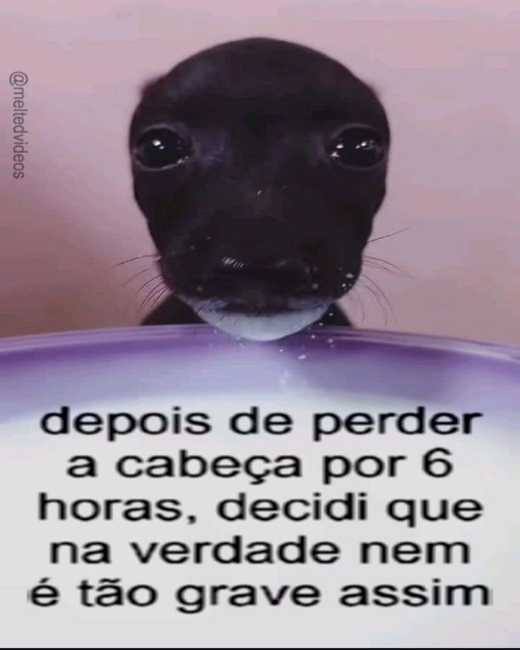acervobichinho's tweet photo. https://t.co/VBungvjoCf