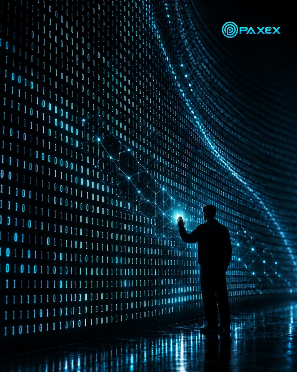 paxexcoin's tweet photo. The future is written onchain. https://t.co/yvyb3skIjZ