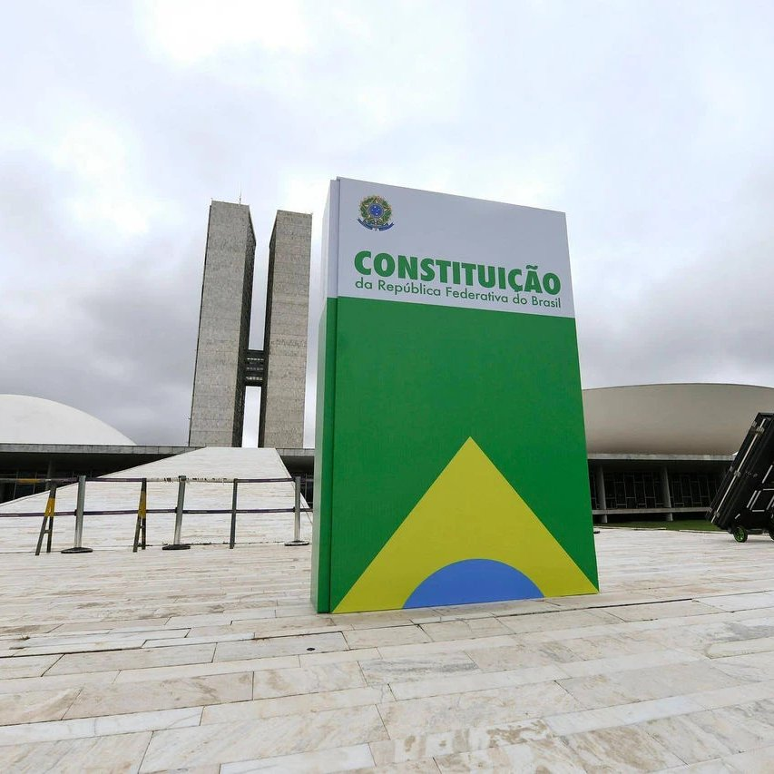 republiqueBRA's tweet photo. 🗣️ “Já temos maioria no Senado e na Câmara, para a gente mudar a Constituição para redemocratizar o país”, diz Flávio Bolsonaro. https://t.co/yn5gfMZQ6V