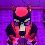 Photo by Prince Neo (@Neo_Doggo)