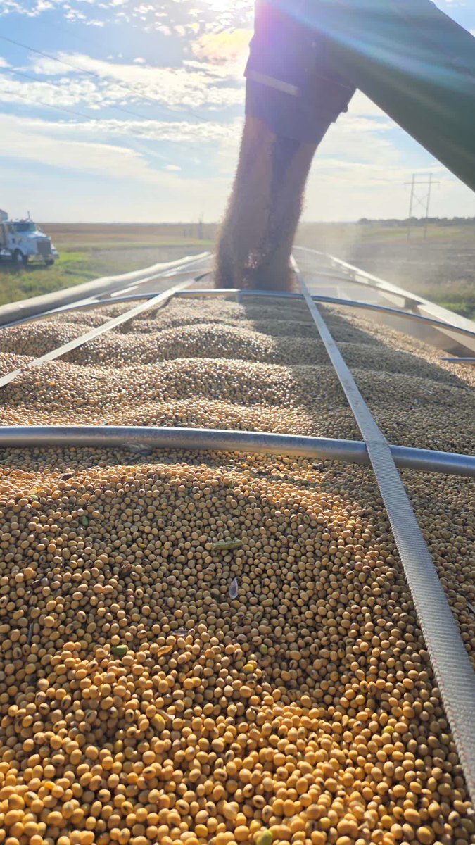 PFSeed's tweet photo. WHAT A VIEW! | Harvest has a way of delivering some pretty cool photo ops, and we'd love to see yours!

📸 Drop your favorite harvest photo in the comments and tell us where you're harvesting. From combine sunsets to views like this, show us what harvest looks like on your farm! https://t.co/L0BETGkhGl