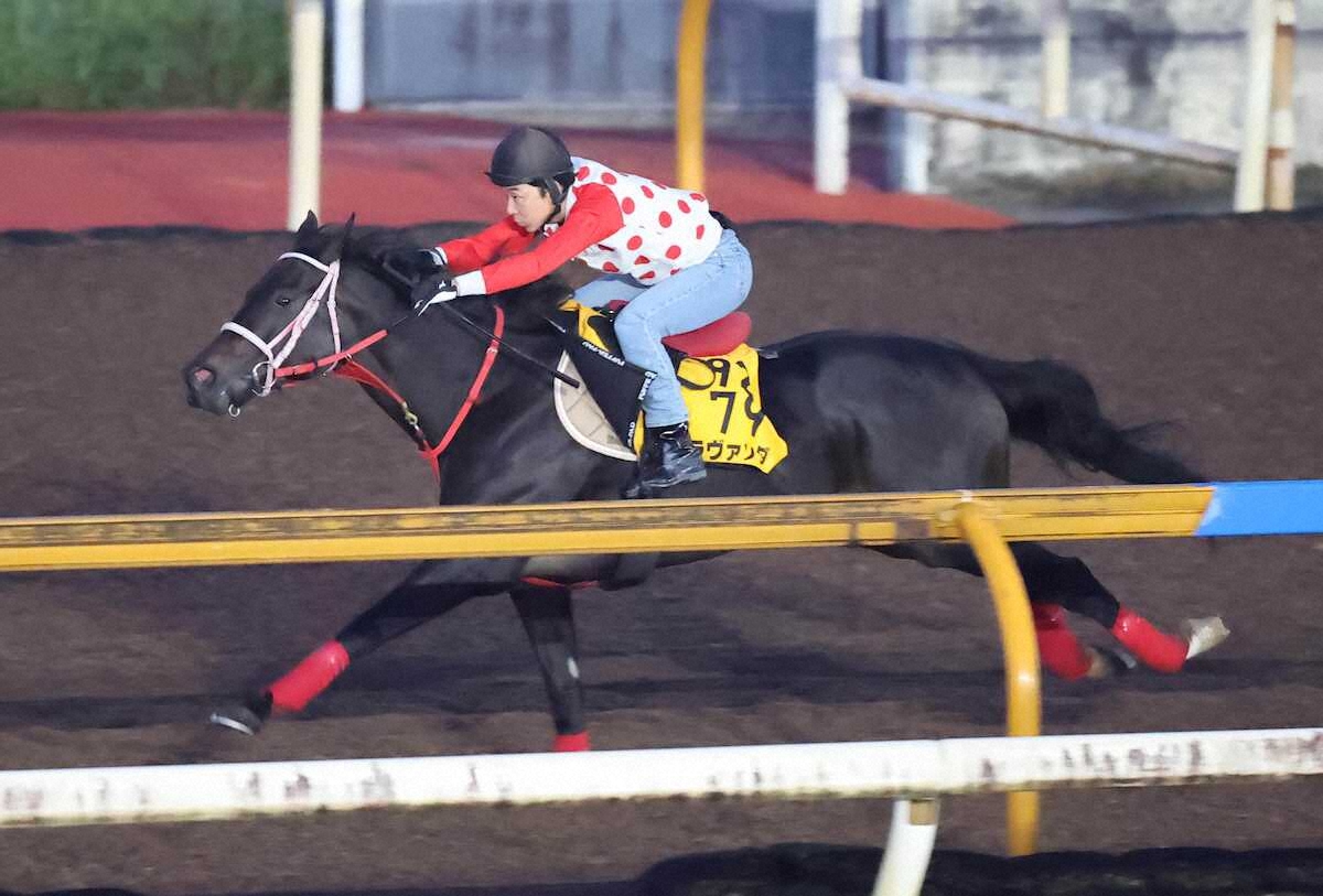 winkeiba_dm's tweet photo. 【アイルランドT】ラヴァンダ　重賞Vもう一丁!土屋助手「馬は完成されていると思う」｜WIN!競馬 https://t.co/PAa3a0XyJw https://t.co/VELfSRkniR