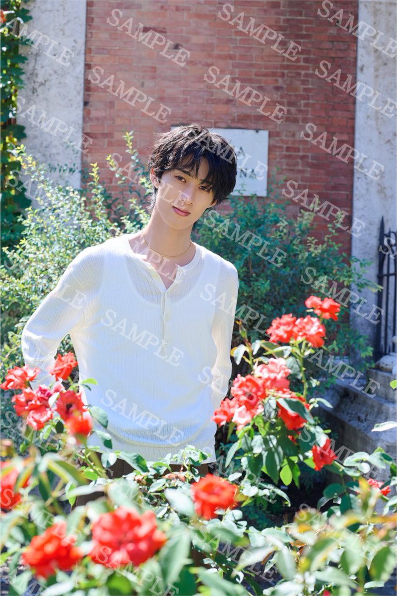 modelpress's tweet photo. MM!LK曽野舜太、1st写真集「曽野まんま」
12／18（金）発売決定📕

全編イタリアロケで魅せる究極の“彼氏感”
表紙3種＆特典トレカも一挙解禁
https://t.co/EdbCUGRg6X

【シチュエーション別トレカ全6種❤️】
大人ティラミス彼氏
王子様アモーレ彼氏
爽やかジェラート彼氏
となりのおはよう彼氏
秘密の路地裏彼氏
そのまんま彼氏