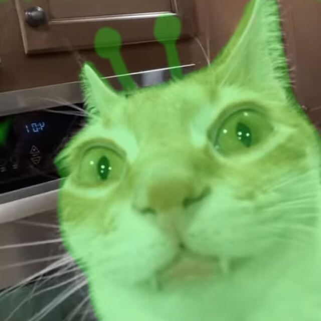 PunchingCat's tweet photo. https://t.co/ygNN9Fxg6q