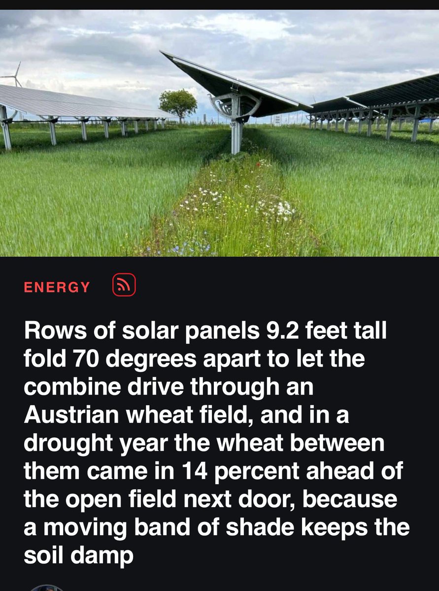 PaulRob11880584's tweet photo. Voters don’t forget @OneNationAus @PaulineHansonOz @LiberalAus @The_Nationals want to destroy the solar industry.
Seriously these parties are so deranged, they would rather cut off their nose to spite their face. https://t.co/bh3K8R6q64