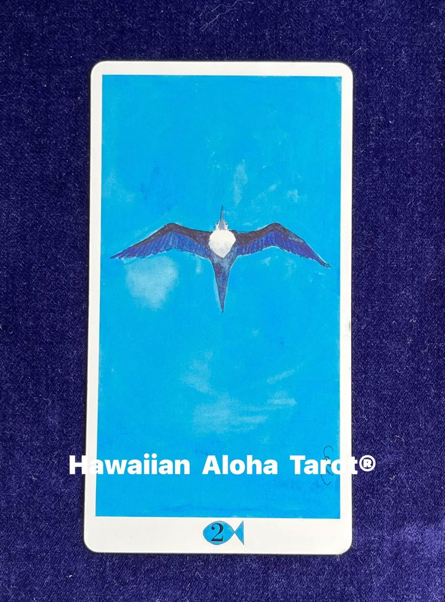 alohatarot's tweet photo. おはようございます！

今日のアロハタロットからのメッセージは、

『来た流れを受け入れる』

カードは《天意》です。

それでは、アロハな一日をお過ごしください。

#ハワイアンアロハタロット
#今日のメッセージ https://t.co/u4j6yxL5TD