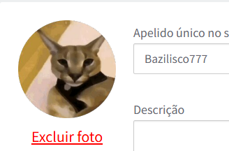 akemladam's tweet photo. Perfil da ++ do tec https://t.co/1Cw8ivdoiT