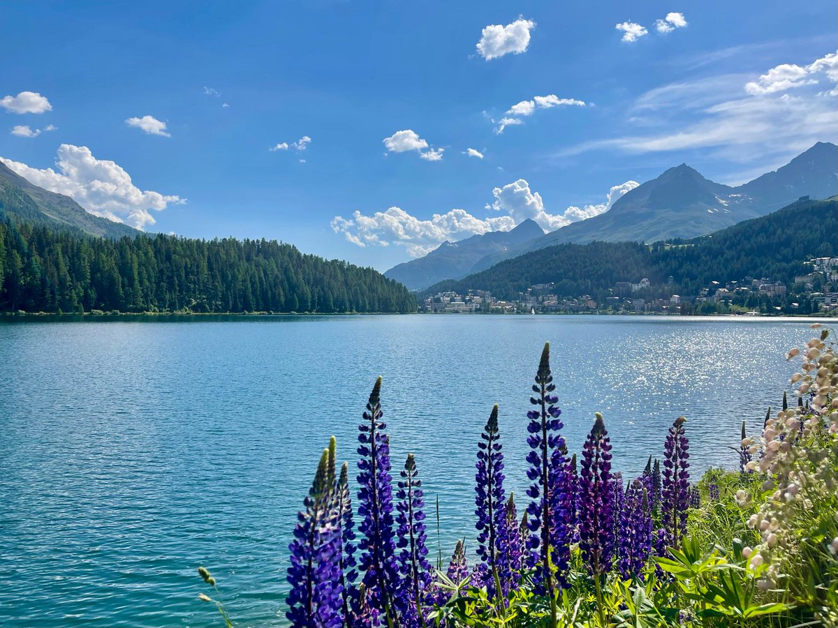 TexasExes's tweet photo. Traverse Switzerland, taking in breathtaking Alpine vistas, crystal-clear lakes and the majestic Swiss Alps. Along the way, explore storybook villages, cruise turquoise waters and, of course, indulge in plenty of Swiss cheese and chocolate.

Book today → https://t.co/mbhRp1nmdx https://t.co/J8c42RFtj6